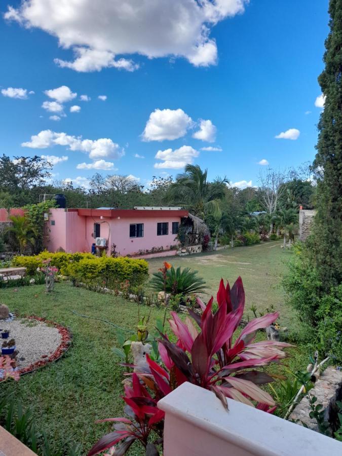 Villa Lirios Valladolid  Dış mekan fotoğraf